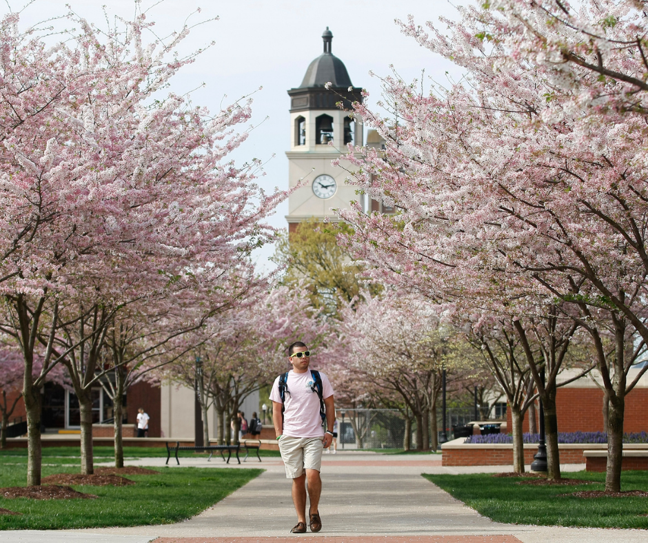 Funding Your Studies in the U.S with Western Kentucky University